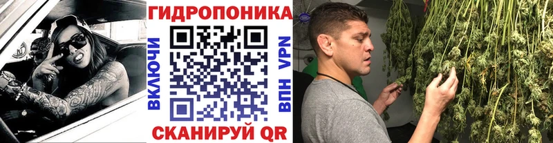 Конопля Карабаново