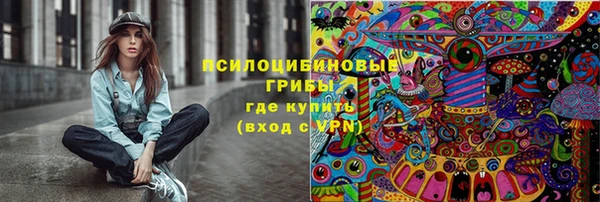 apvp Кинешма