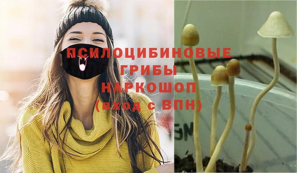 apvp Кинешма